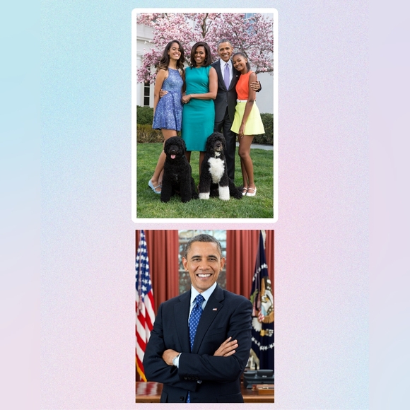 Barack Obama (44th U.S. President) Trading Card - Picture 3 of 3